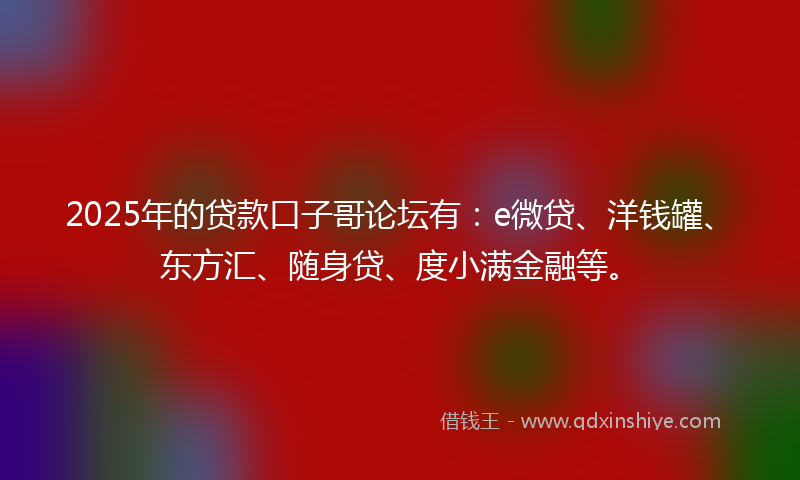 2025年的贷款口子哥论坛有：e微贷、洋钱罐、东方汇、随身贷、度小满金融等。