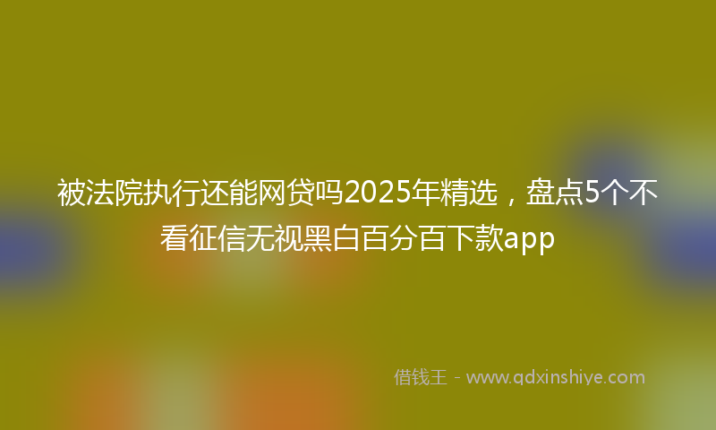 被法院执行还能网贷吗2025年精选，盘点5个不看征信无视黑白百分百下款app