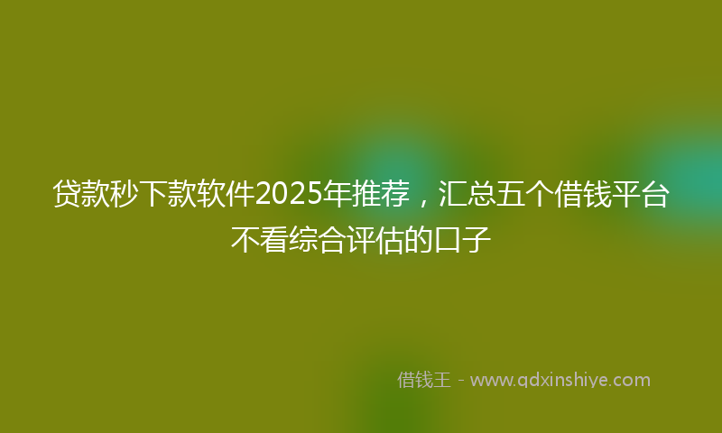 贷款秒下款软件2025年推荐，汇总五个借钱平台不看综合评估的口子