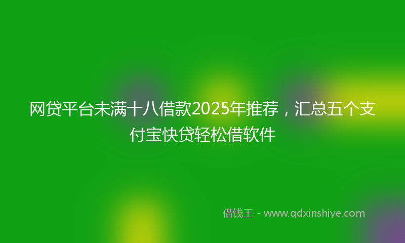 网贷平台未满十八借款2025年推荐，汇总五个支付宝快贷轻松借软件