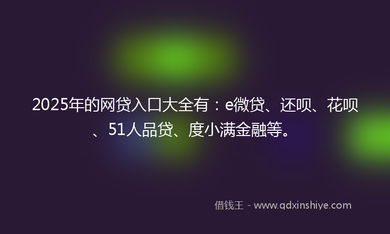 2025年的网贷入口大全有：e微贷、还呗、花呗、51人品贷、度小满金融等。