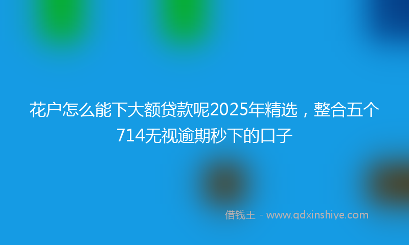 花户怎么能下大额贷款呢2025年精选，整合五个714无视逾期秒下的口子