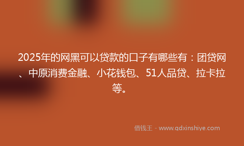 2025年的网黑可以贷款的口子有哪些有：团贷网、中原消费金融、小花钱包、51人品贷、拉卡拉等。