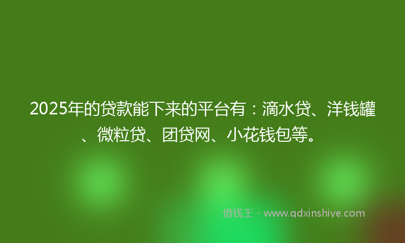 2025年的贷款能下来的平台有：滴水贷、洋钱罐、微粒贷、团贷网、小花钱包等。