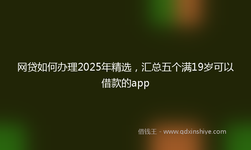 网贷如何办理2025年精选，汇总五个满19岁可以借款的app