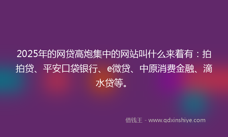 2025年的网贷高炮集中的网站叫什么来着有：拍拍贷、平安口袋银行、e微贷、中原消费金融、滴水贷等。