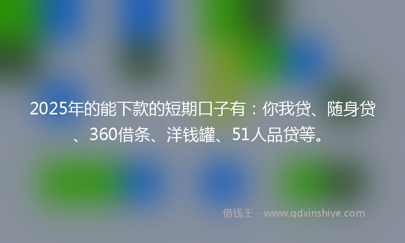 2025年的能下款的短期口子有：你我贷、随身贷、360借条、洋钱罐、51人品贷等。