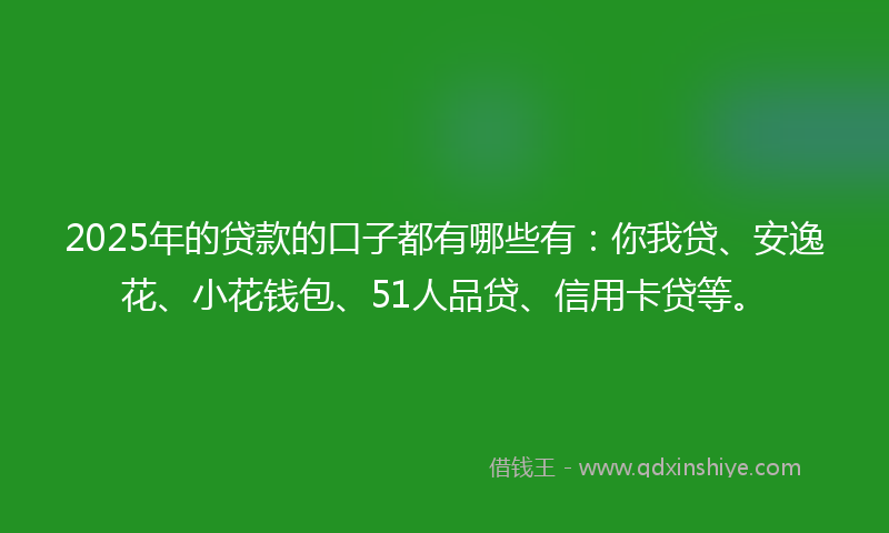 2025年的贷款的口子都有哪些有：你我贷、安逸花、小花钱包、51人品贷、信用卡贷等。