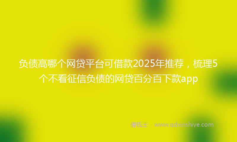 负债高哪个网贷平台可借款2025年推荐，梳理5个不看征信负债的网贷百分百下款app