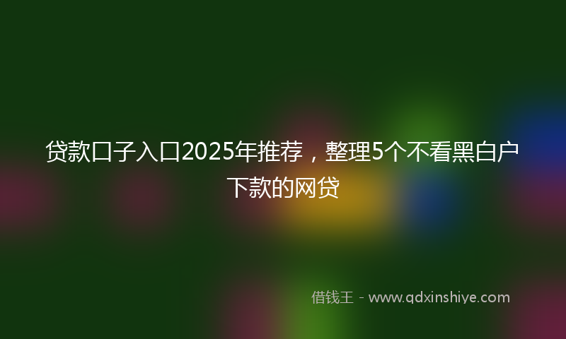 贷款口子入口2025年推荐，整理5个不看黑白户下款的网贷