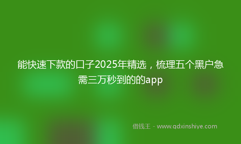 能快速下款的口子2025年精选，梳理五个黑户急需三万秒到的的app