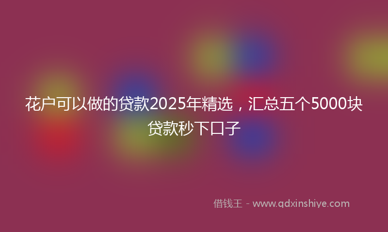 花户可以做的贷款2025年精选，汇总五个5000块贷款秒下口子