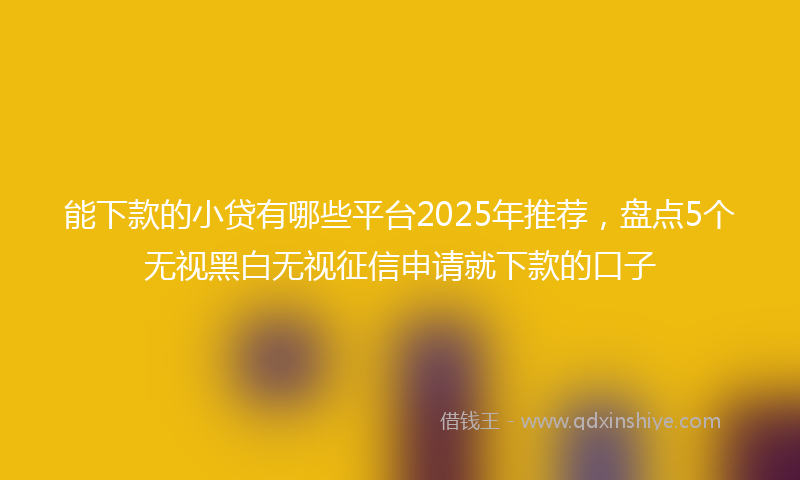 能下款的小贷有哪些平台2025年推荐，盘点5个无视黑白无视征信申请就下款的口子