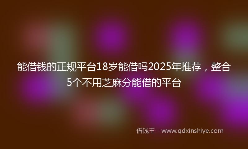 能借钱的正规平台18岁能借吗2025年推荐，整合5个不用芝麻分能借的平台
