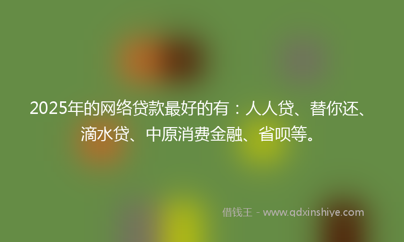 2025年的网络贷款最好的有：人人贷、替你还、滴水贷、中原消费金融、省呗等。