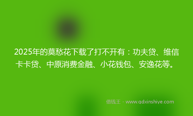 2025年的莫愁花下载了打不开有：功夫贷、维信卡卡贷、中原消费金融、小花钱包、安逸花等。