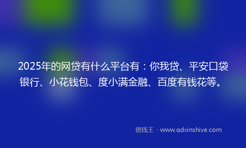 2025年的网贷有什么平台有：你我贷、平安口袋银行、小花钱包、度小满金融、百度有钱花等。
