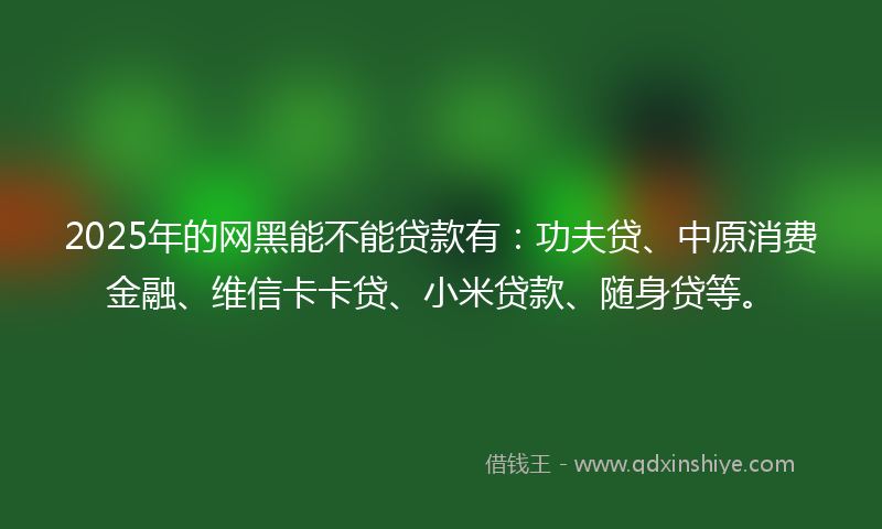 2025年的网黑能不能贷款有：功夫贷、中原消费金融、维信卡卡贷、小米贷款、随身贷等。