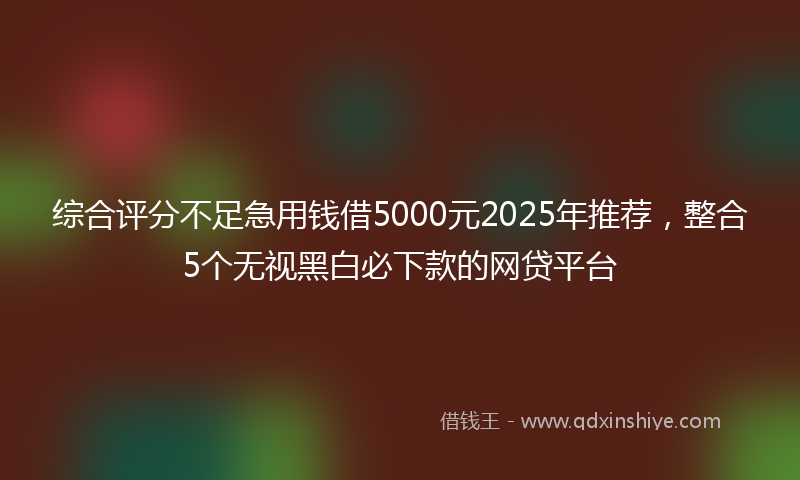 综合评分不足急用钱借5000元2025年推荐，整合5个无视黑白必下款的网贷平台