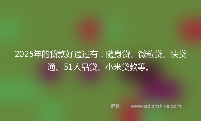 2025年的贷款好通过有：随身贷、微粒贷、快贷通、51人品贷、小米贷款等。