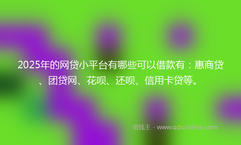 2025年的网贷小平台有哪些可以借款有：惠商贷、团贷网、花呗、还呗、信用卡贷等。