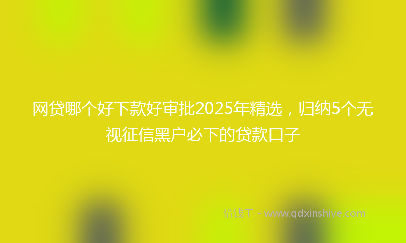 网贷哪个好下款好审批2025年精选，归纳5个无视征信黑户必下的贷款口子
