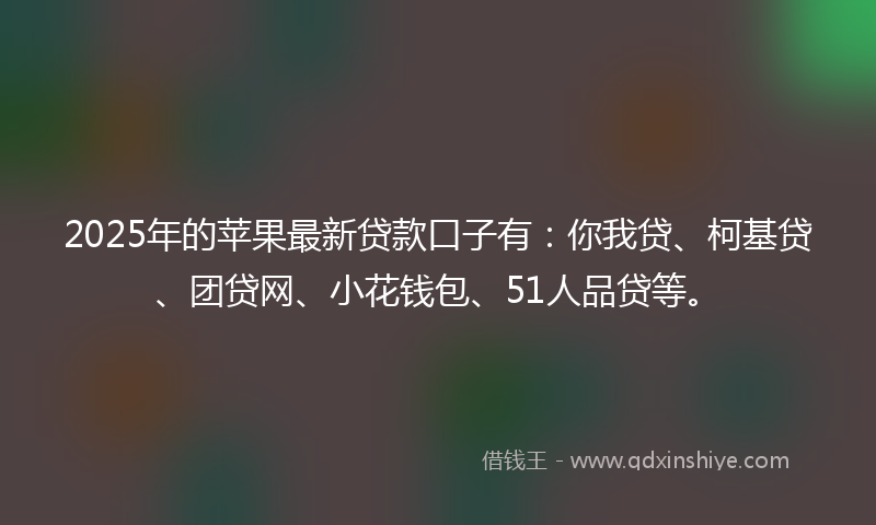 2025年的苹果最新贷款口子有：你我贷、柯基贷、团贷网、小花钱包、51人品贷等。