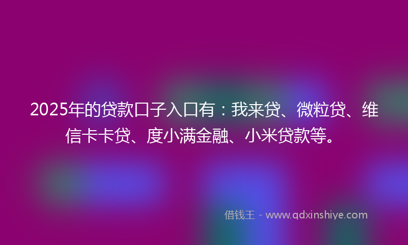 2025年的贷款口子入口有：我来贷、微粒贷、维信卡卡贷、度小满金融、小米贷款等。