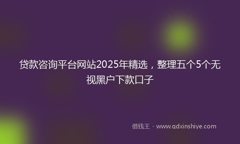 贷款咨询平台网站2025年精选，整理五个5个无视黑户下款口子