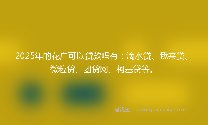 2025年的花户可以贷款吗有：滴水贷、我来贷、微粒贷、团贷网、柯基贷等。