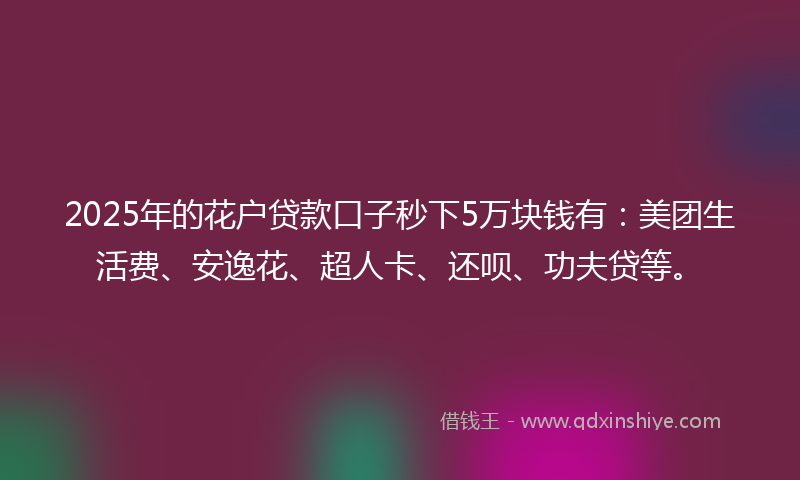 2025年的花户贷款口子秒下5万块钱有：美团生活费、安逸花、超人卡、还呗、功夫贷等。