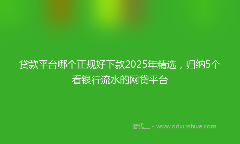 贷款平台哪个正规好下款2025年精选，归纳5个看银行流水的网贷平台