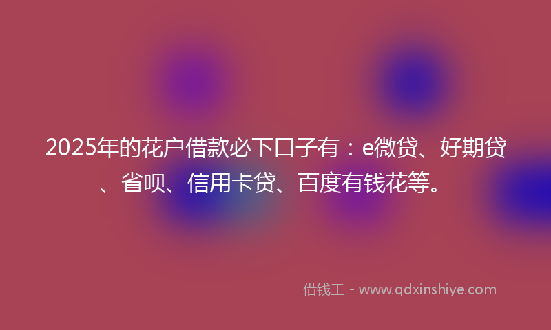 2025年的花户借款必下口子有：e微贷、好期贷、省呗、信用卡贷、百度有钱花等。