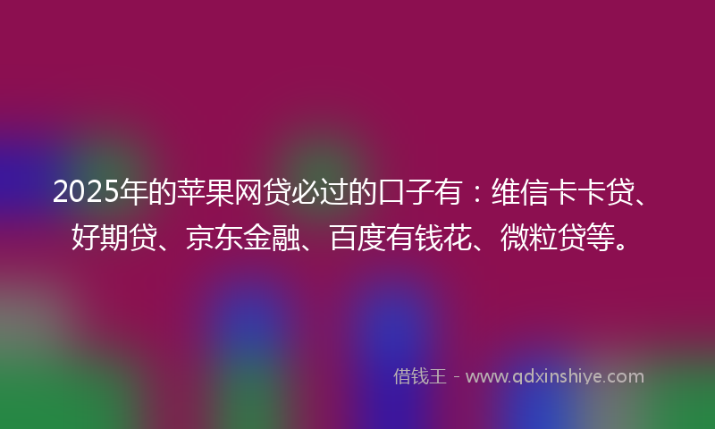 2025年的苹果网贷必过的口子有：维信卡卡贷、好期贷、京东金融、百度有钱花、微粒贷等。