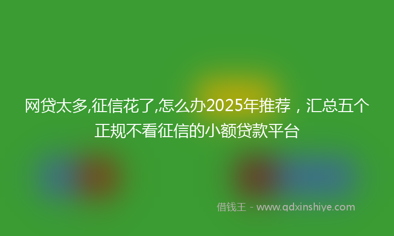 网贷太多,征信花了,怎么办2025年推荐，汇总五个正规不看征信的小额贷款平台