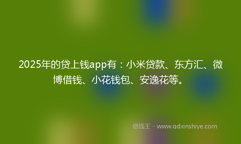 2025年的贷上钱app有：小米贷款、东方汇、微博借钱、小花钱包、安逸花等。