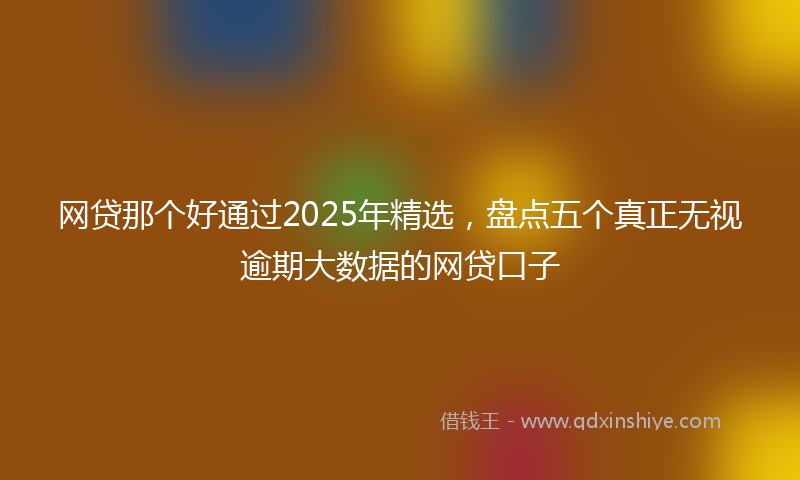 网贷那个好通过2025年精选，盘点五个真正无视逾期大数据的网贷口子