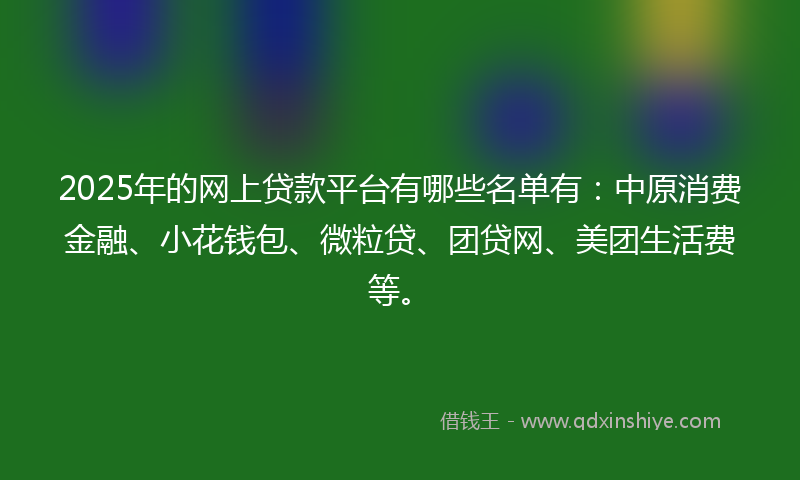 2025年的网上贷款平台有哪些名单有：中原消费金融、小花钱包、微粒贷、团贷网、美团生活费等。