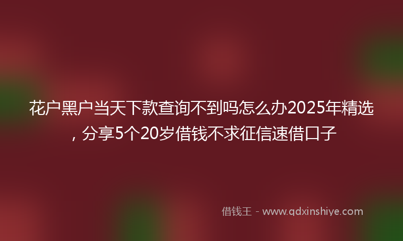 花户黑户当天下款查询不到吗怎么办2025年精选，分享5个20岁借钱不求征信速借口子