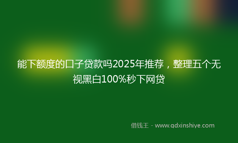 能下额度的口子贷款吗2025年推荐，整理五个无视黑白100%秒下网贷