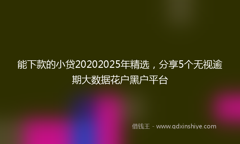 能下款的小贷20202025年精选，分享5个无视逾期大数据花户黑户平台
