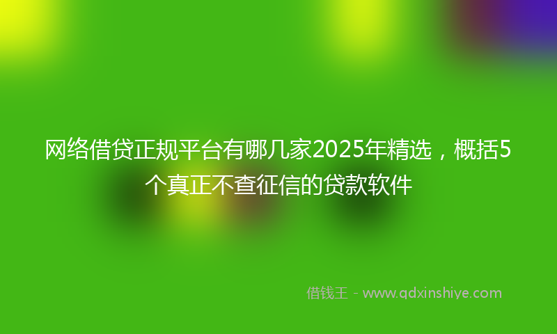 网络借贷正规平台有哪几家2025年精选，概括5个真正不查征信的贷款软件