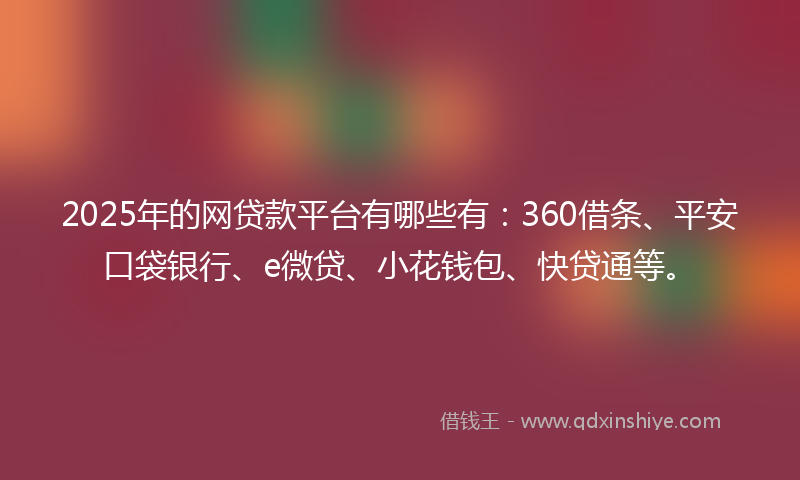 2025年的网贷款平台有哪些有：360借条、平安口袋银行、e微贷、小花钱包、快贷通等。