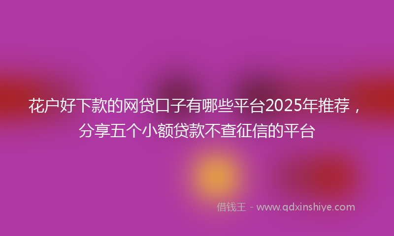 花户好下款的网贷口子有哪些平台2025年推荐，分享五个小额贷款不查征信的平台