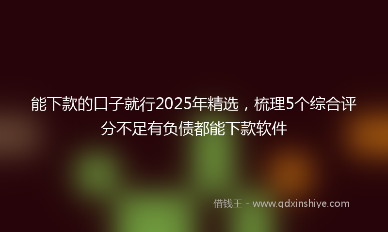 能下款的口子就行2025年精选，梳理5个综合评分不足有负债都能下款软件
