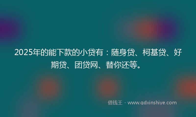 2025年的能下款的小贷有：随身贷、柯基贷、好期贷、团贷网、替你还等。
