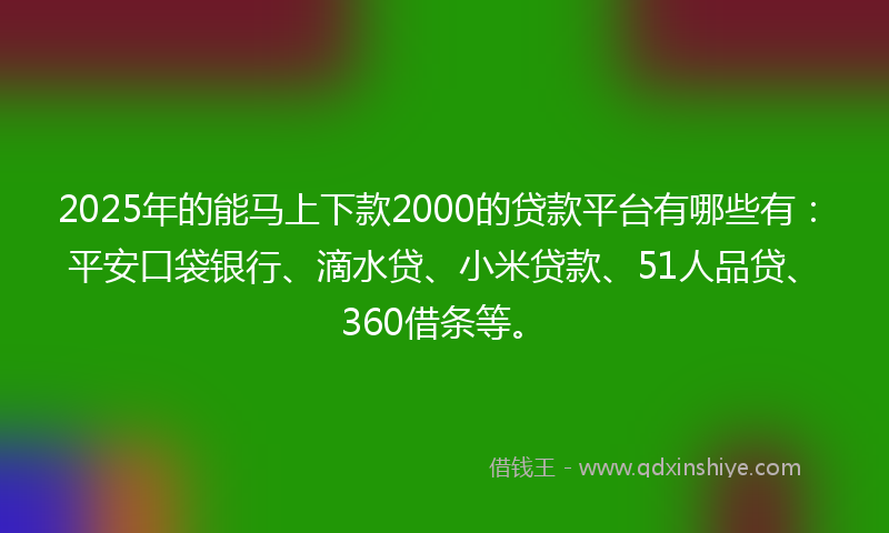 2025年的能马上下款2000的贷款平台有哪些有：平安口袋银行、滴水贷、小米贷款、51人品贷、360借条等。