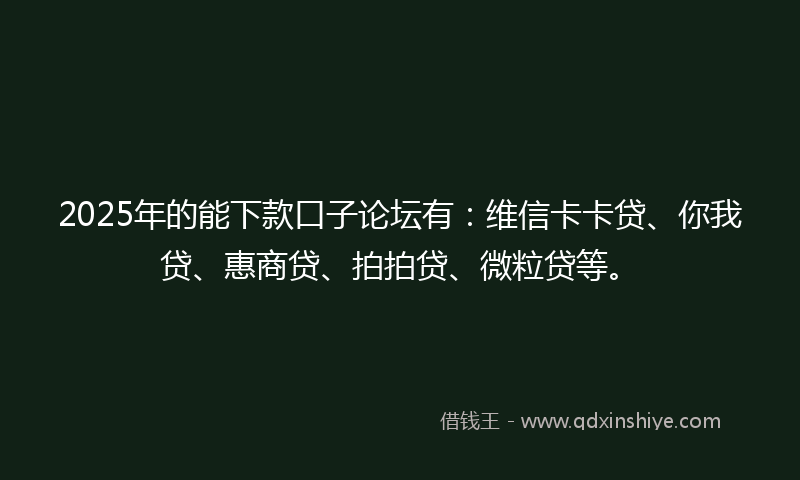 2025年的能下款口子论坛有：维信卡卡贷、你我贷、惠商贷、拍拍贷、微粒贷等。