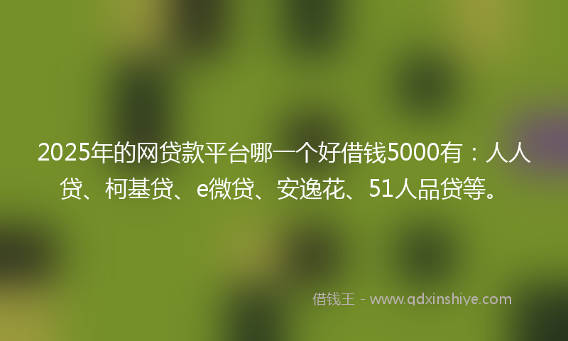 2025年的网贷款平台哪一个好借钱5000有：人人贷、柯基贷、e微贷、安逸花、51人品贷等。