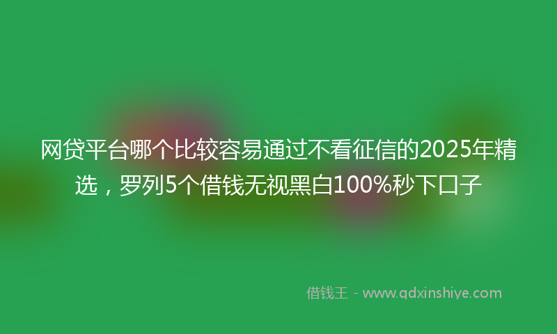 网贷平台哪个比较容易通过不看征信的2025年精选，罗列5个借钱无视黑白100%秒下口子